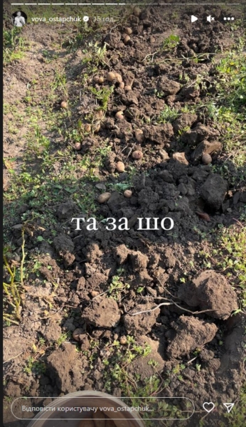 Остапчук показав, як із Полтавською копав картоплю на городі батьків в Умані