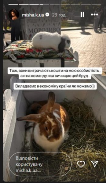«Або заздрість, або одержимість»: Мішина поскаржилася на атаку ботів