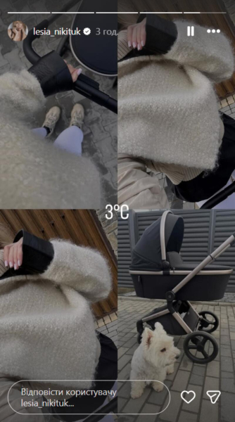 Мамські будні: Нікітюк показалася на прогулянці з 5-місячним сином Оскаром