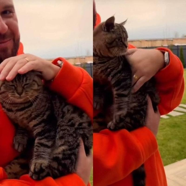 Танчинця запідозрили у таємному весіллі з дівчиною, яка молодша на 20 років