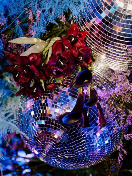 Софі Тернер відсвяткувала 30-річчя у «голій» сукні на грандіозній вечірці