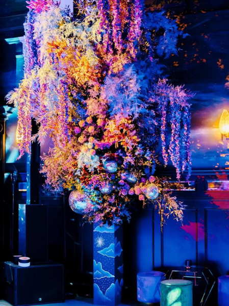 Софі Тернер відсвяткувала 30-річчя у «голій» сукні на грандіозній вечірці