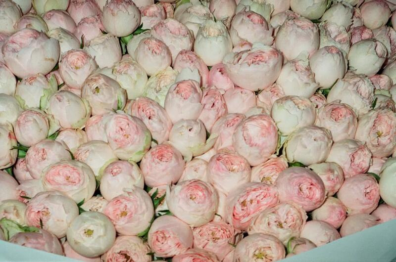 Виконавець хіта &laquo;Смарагдове небо&raquo; DREVO освідчився своїй дівчині