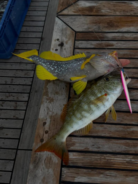 З келихом ігристого та вудкою: Неплях показала, як рибалить на Мальдівах