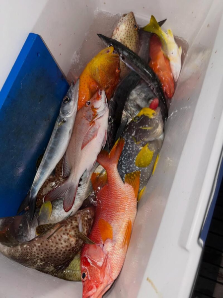 З келихом ігристого та вудкою: Неплях показала, як рибалить на Мальдівах