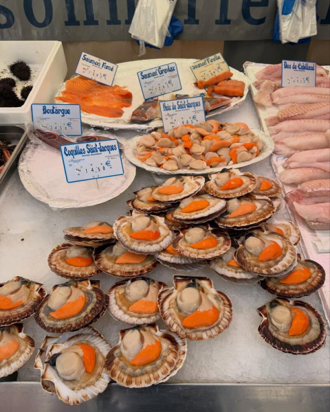 Кацурін подарував Дорофєєвій поїздку до Парижа на концерт улюбленої співачки