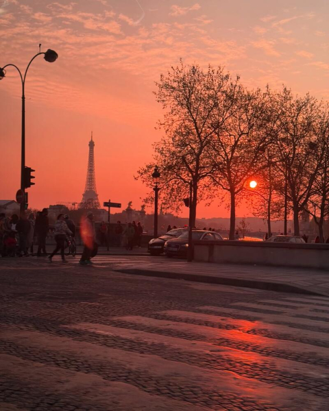 Кацурін подарував Дорофєєвій поїздку до Парижа на концерт улюбленої співачки